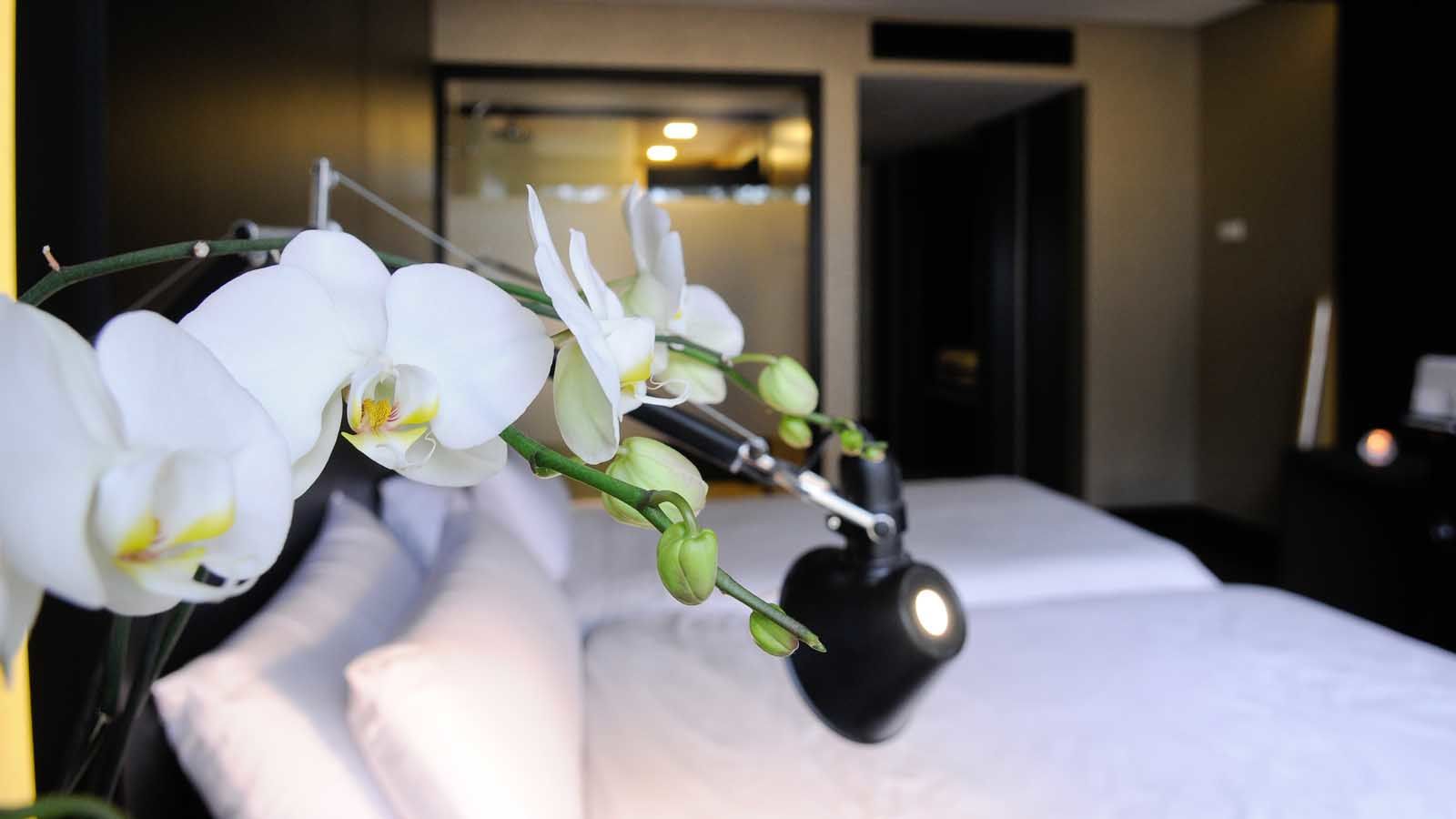 Evidencia Belverde Hotel Amora Exterior photo